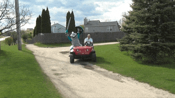 collegeoflakecounty school college lets go education GIF