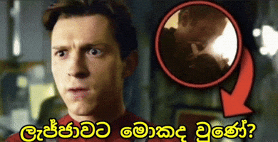 Tom Holland Shame GIF