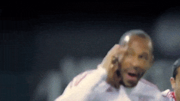 New York Red Bulls Nyisred GIF