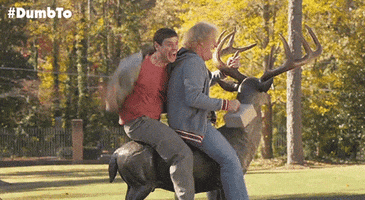 jim carrey ride GIF by Dumb and Dumber To