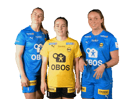 Toppserien Forza Birdsa Sticker by LSK Kvinner FK