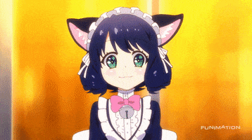 show by rock!! cat GIF