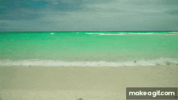 Zanzibar00010 GIF