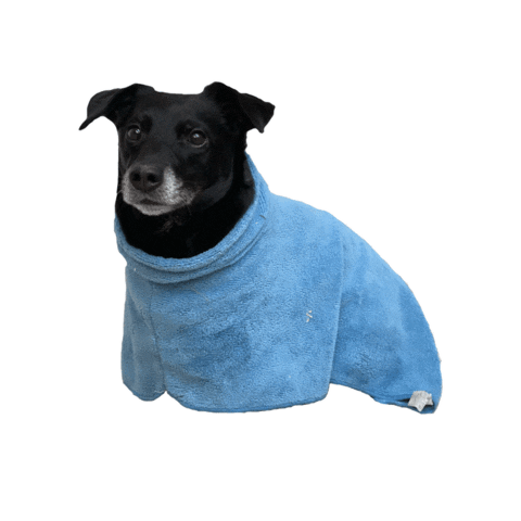 Malamarianne Sticker by dariadaria