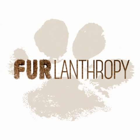 Furlanthropy GIF