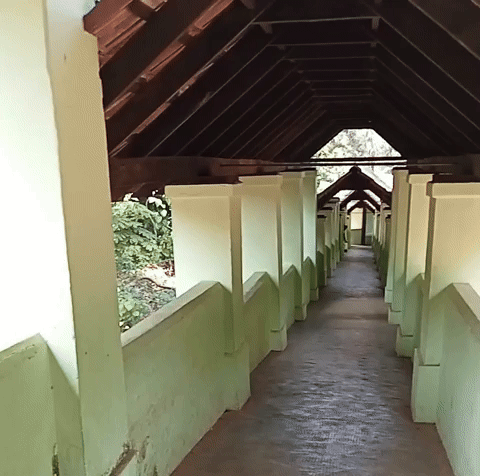 Manichithrathazhu GIF