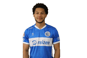 Hands Lol Sticker by FC Den Bosch
