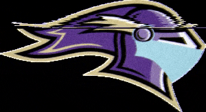 Mask Knight GIF by Saint Michael's College