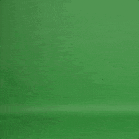 stastne pondeli greenscreen GIF by Televize Seznam