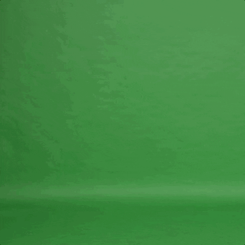 stastne pondeli greenscreen GIF by Televize Seznam