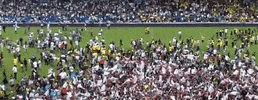 fans finale GIF by UBB Rugby