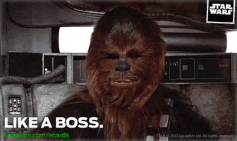 like a boss GIF