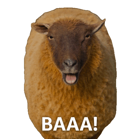 Sticker by The Sheep Detectives