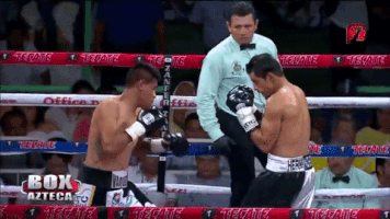 antoniogj92gmailcom box box azteca GIF