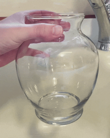 Easy Elegance Roses GIF