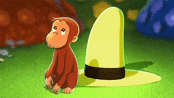 Genuinely Curious GIFs - Get the best GIF on GIPHY