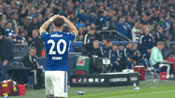 Football Love GIF by FC Schalke 04