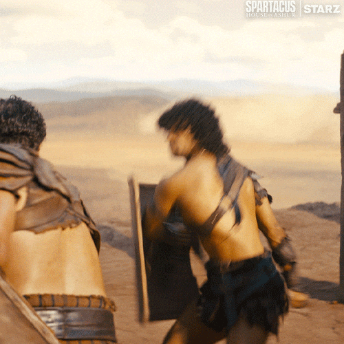 Fight Hit GIF by Spartacus