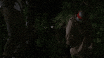 Teenage Mutant Ninja Turtles Cricket GIF