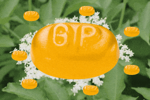 Grether's Pastilles USA GIF