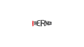 Fire Grilling Sticker by THERMOZEL SA