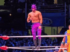 Lucha Libre Wrestling GIF