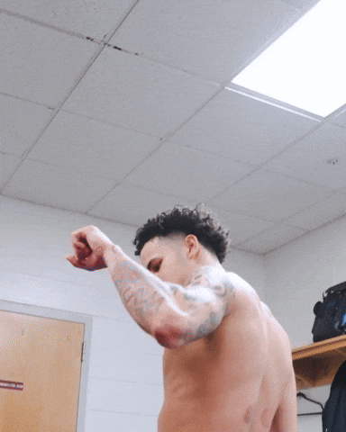 College Of Charleston Cougars GIF by Charleston Basketball