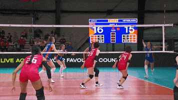Happy Take That GIF by Volleyball World