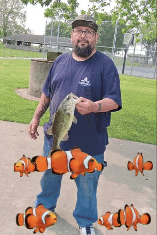 Bigfishstory GIF
