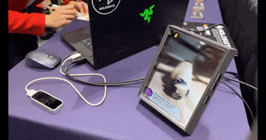 Animated GIF
