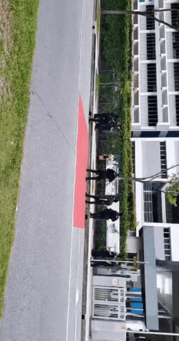 Police GIF