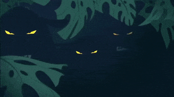Cat GIF