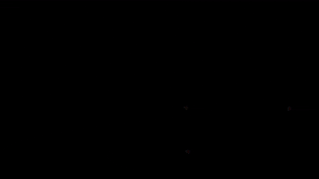 GIF by Maxx&Afi
