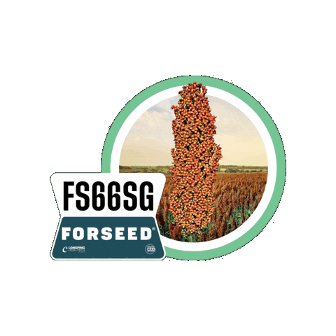 Forseedsementes Sticker by Longping High Tech