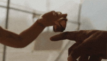 GIF by U-M College of LSA