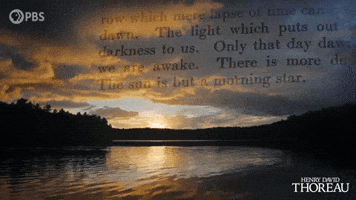 Simplify Henry David Thoreau GIF by PBS