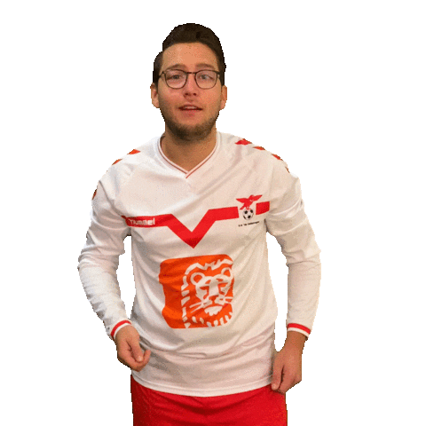 Vogels8 Vogelsacht Sticker by Valleivogels