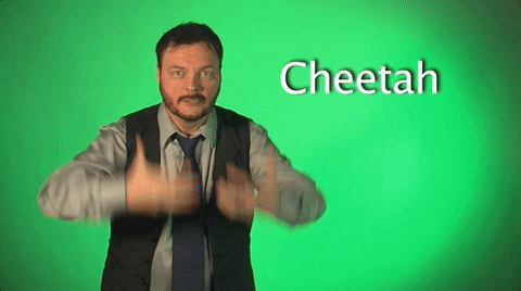 Sign Language Cheetah GIF by Sign with Robert - Find & Share on GIPHY