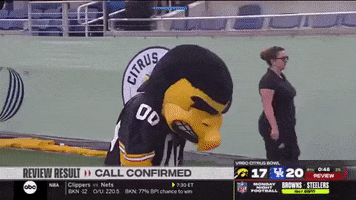 Iowa Hawkeyes GIF