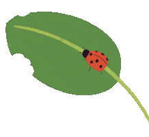 Spring Sticker