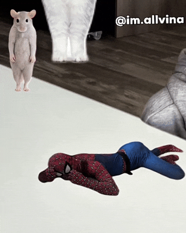 Spiderman Rat GIF