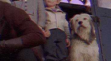 Animated GIF