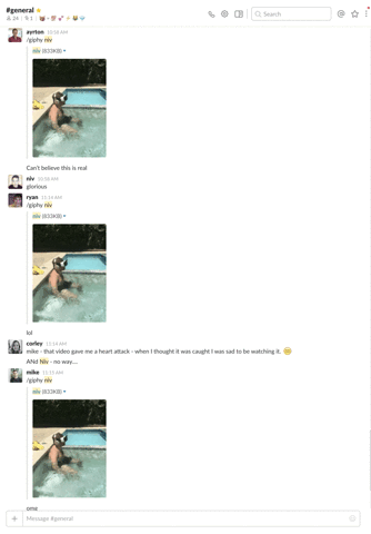 niv  GIF