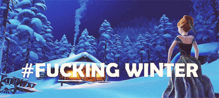 fu fuckingwinter GIF