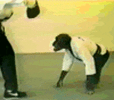 alain  GIF