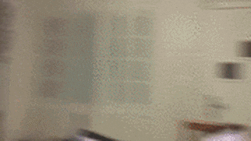 samu  GIF