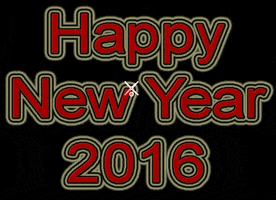 joybravedriver happy new year 2016 GIF