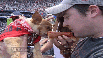 Hot Dog Eating GIF by MLB