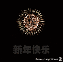 pumpchinese happy new year new year chinese hny GIF