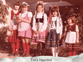 rosas  GIF